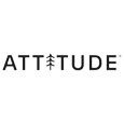 Attitude