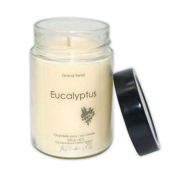 Bougie de soya Eucalyptus