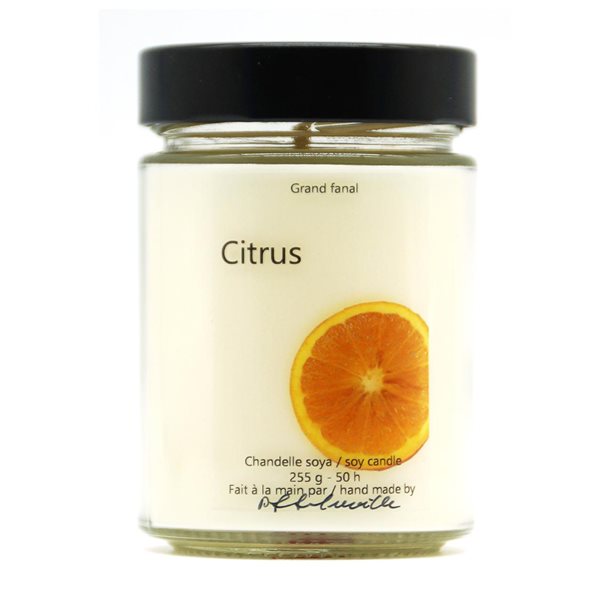 Bougie de soya Citrus