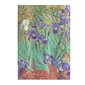 Journal de notes personnelles Midi - Iris de Van Gogh