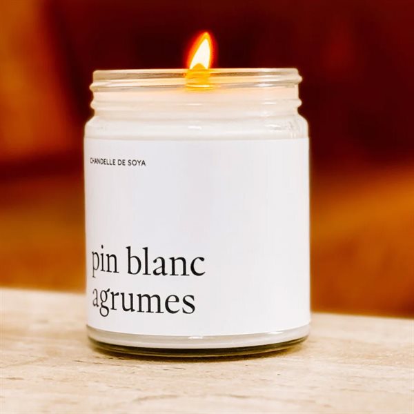 White Pine Citrus Soy Candle