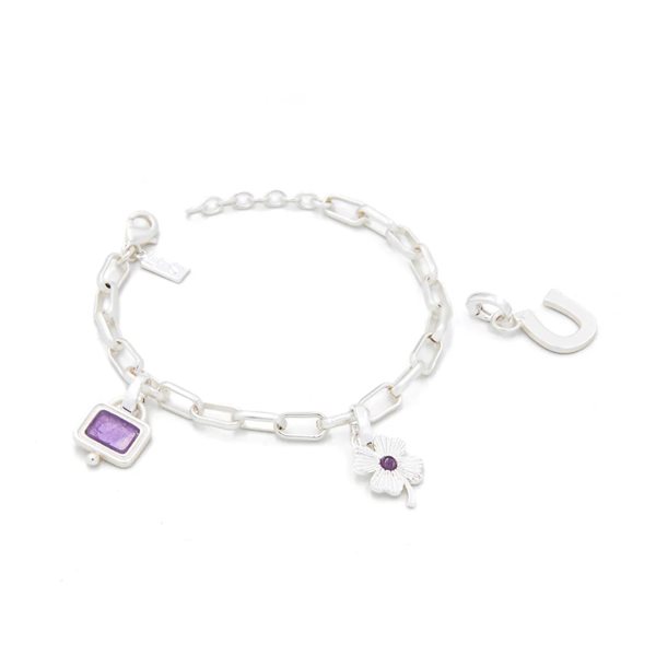 Interchangeable Charm Bracelet - Amethyst