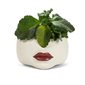 Low Red Lip Planter