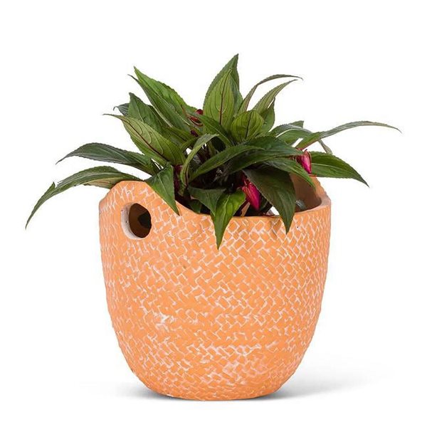 Planter with Handles