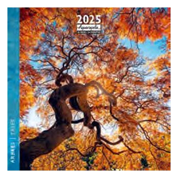 Calendrier mural 16 mois Aquarupella 2025 - Arbres