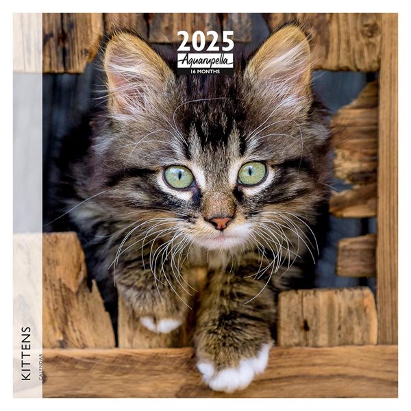 Calendrier mural 16 mois Aquarupella 2025 - Chatons