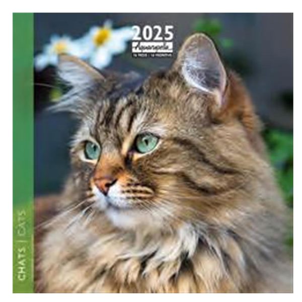 Calendrier mural 16 mois Aquarupella 2025 - Chats