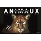 Animaux dangereux