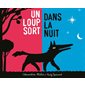 Un loup sort dans la nuit