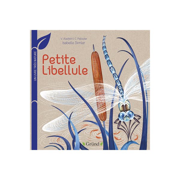 Petite libellule