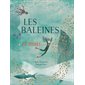 Les baleines et nous