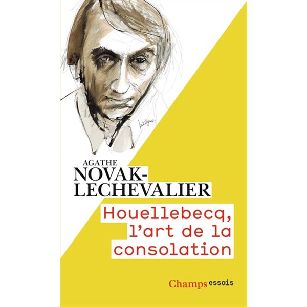 Houellebecq, l'art de la consolation