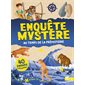 Enquête mystère : au temps de la préhistoire : 40 énigmes à résoudre !