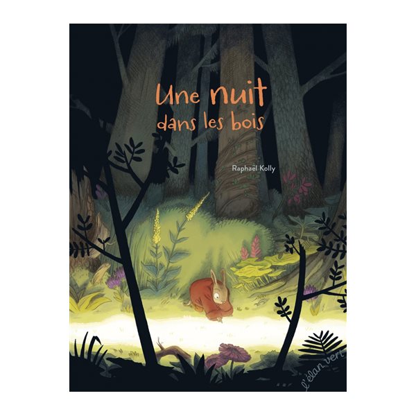 Une nuit dans les bois