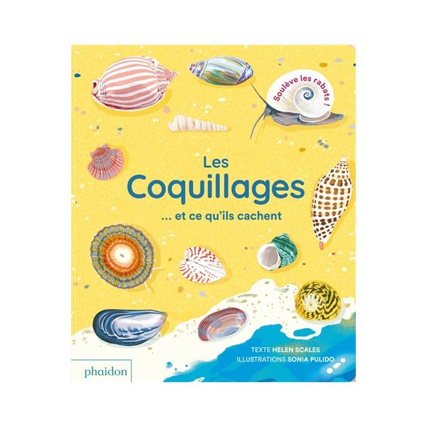 Les coquillages... et ce qu'ils cachent