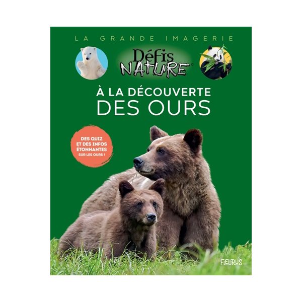 A la découverte des ours : des quiz et des info étonnantes sur les ours !