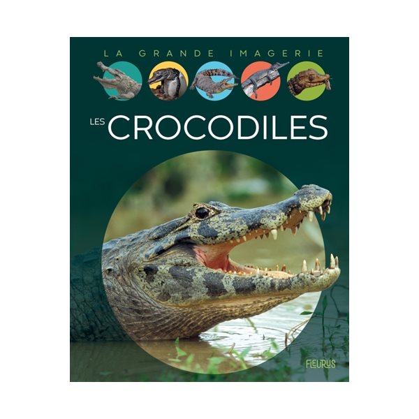 Les crocodiles