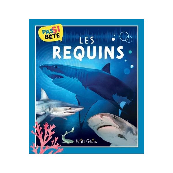 Pas si bête LES REQUINS